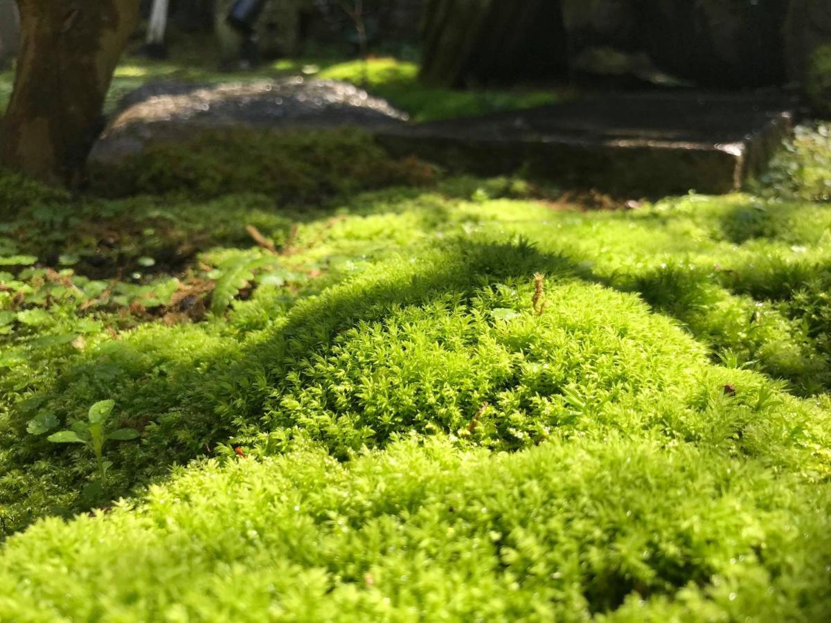 Kominka Mitsuhama Ryokan Macujama Exteriér fotografie